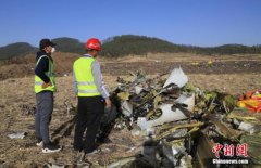  国际民航组织：期待了解埃塞航空客机失事原因